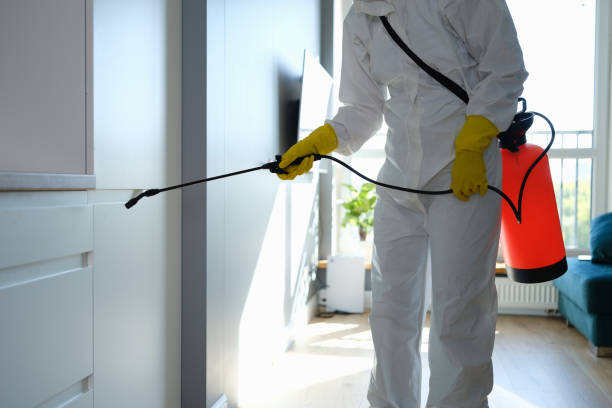 Best Residential Mold Remediation in Crivitz, WI