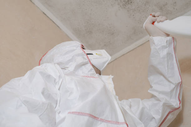 Best Mold Testing and Inspection Services in Crivitz, WI