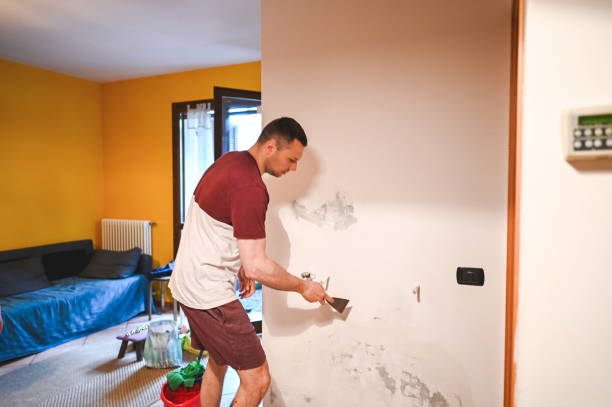 Best Insurance-Related Mold Remediation in Crivitz, WI